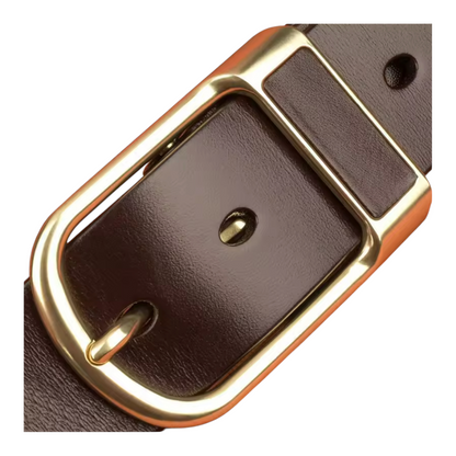 Brown leather belt with gold buckle on a white background